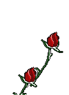 roses6.gif (15521 bytes)